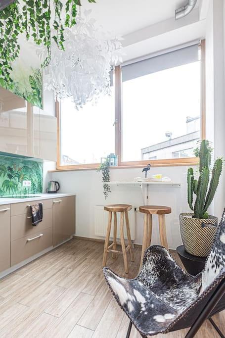 Butas Jungle In Center By Urban Rent