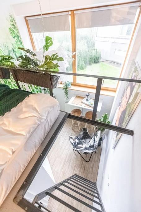 Butas Jungle In Center By Urban Rent *