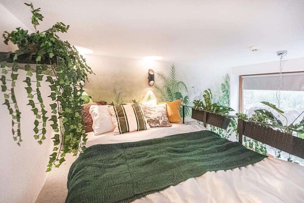 Butas Jungle In Center By Urban Rent